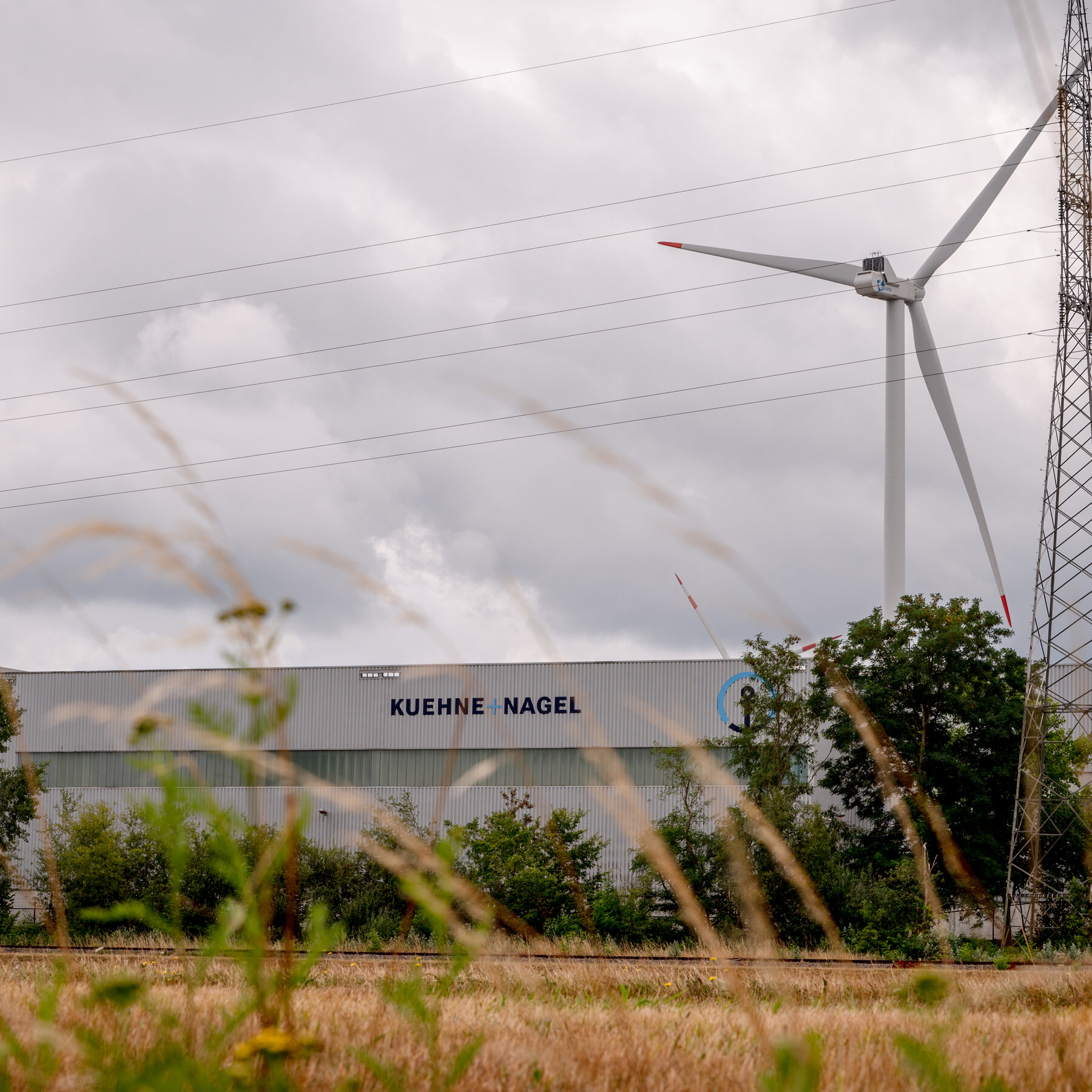 Skandal Kontrasepsi USAID: Bantuan Krusial Afrika Terabaikan dan Kadaluarsa di Era Trump