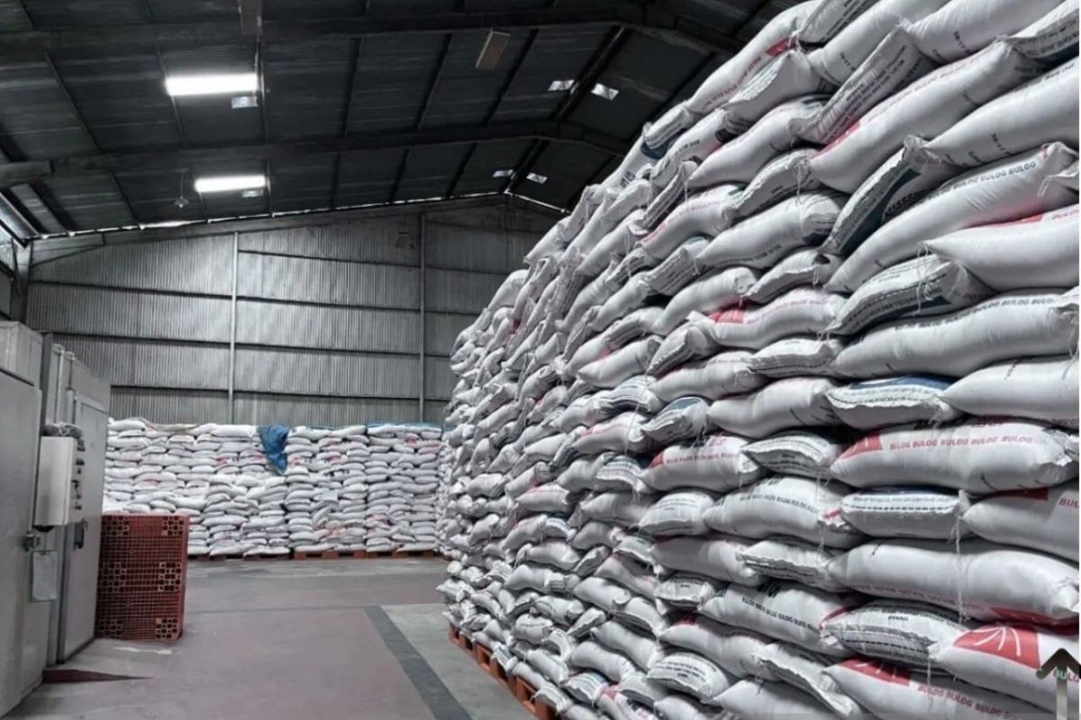 Bulog Kaltimtara Pastikan Ketahanan Pangan Aman Hingga Lebaran 2026 di Tengah Dinamika Pasar