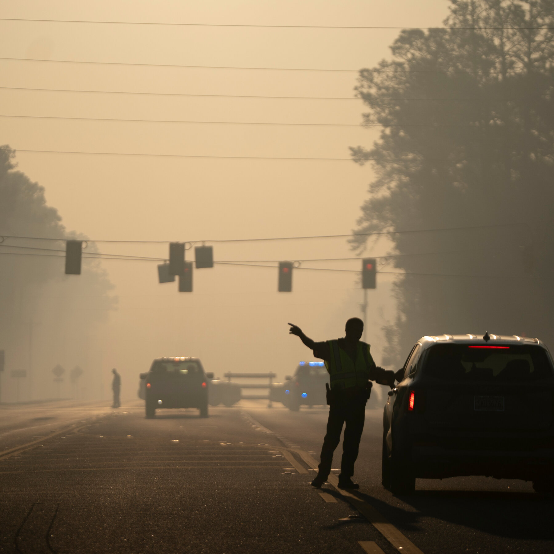 Kebakaran Hutan Dahsyat Landa Georgia dan Florida: Puluhan Bangunan Hancur, Petugas Pemadam Tewas