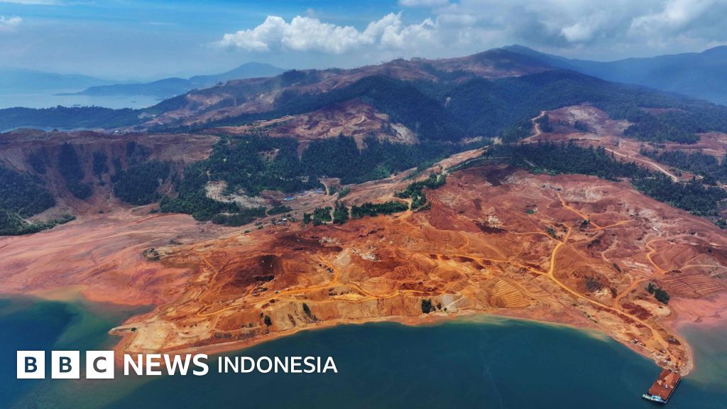 Auriga Nusantara Peringatkan Deforestasi Indonesia Memburuk di Era Prabowo, Terancam Rekor Global