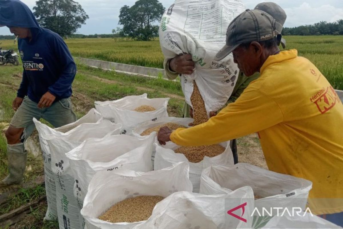 Bulog Pastikan Beras Bantuan Pangan di Penajam Paser Utara dari Produk Lokal