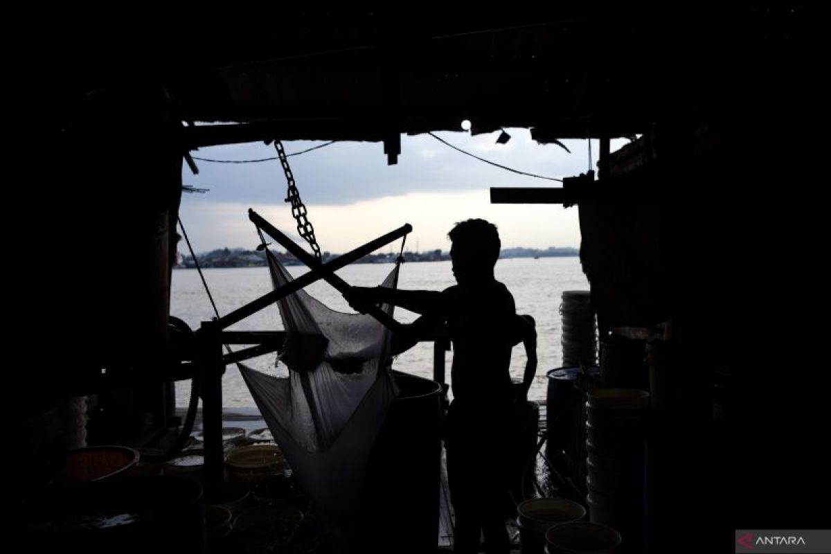 Penyaluran KUR di Kaltim Capai Rp785 Miliar Januari-Februari 2024 Dukung Ribuan UMKM