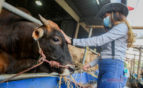 Mengelola Keuangan Kurban: Menimbang Bijak Penggunaan Paylater dan Pinjol