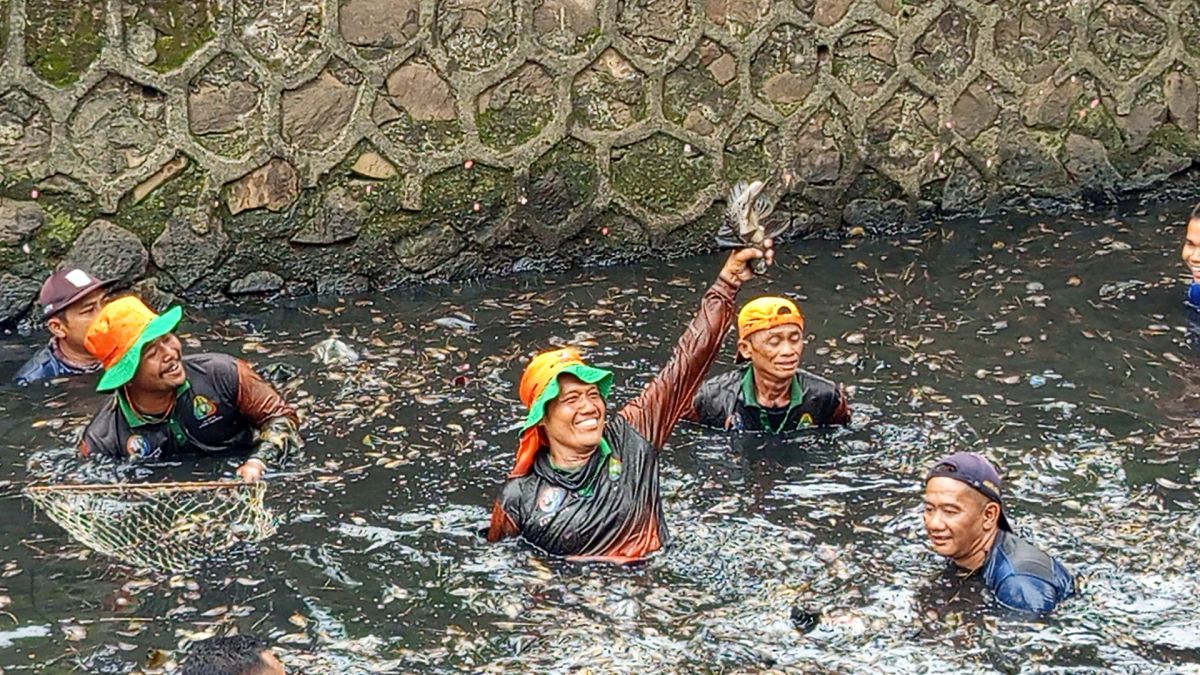 DKI Jakarta Bentuk PPSU Khusus: Strategi Baru Atasi Invasi Ikan Sapu-sapu di Perairan Ibu Kota