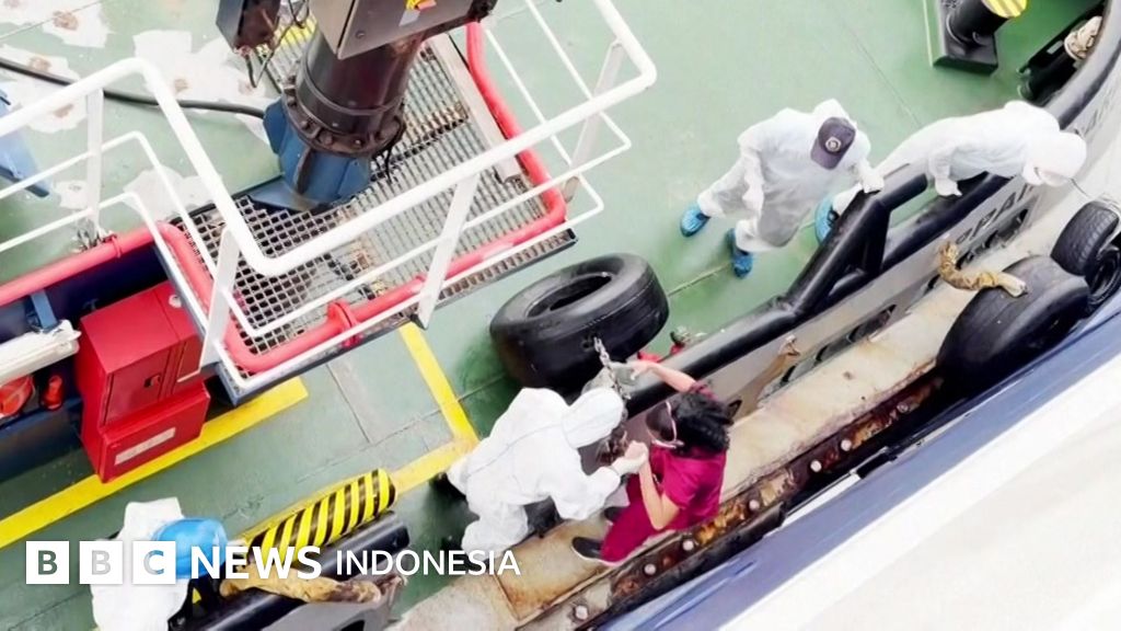 WHO Selidiki Dugaan Penularan Hantavirus Antarpenumpang di Kapal Pesiar MV Hondius