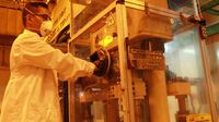 Ambisi PLTN Indonesia 2032: Realistis atau Berisiko Tinggi?