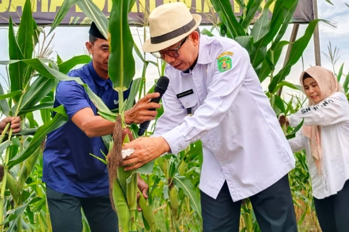 Bupati Kutim Genjot Ekowisata Pertanian, Dorong Transformasi Ekonomi Berkelanjutan