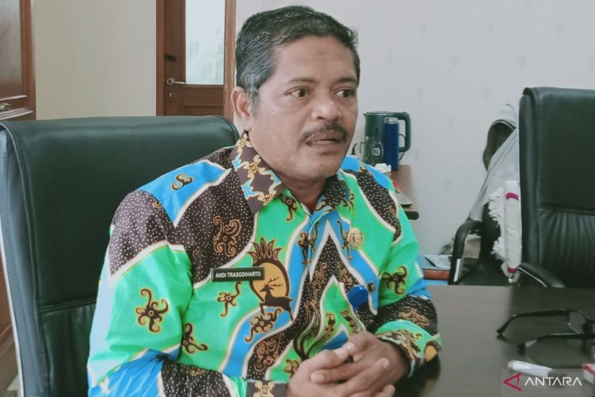 Dongkrak Ekonomi Lokal, Petani PPU Sukses Panen 9.000 Ton Rumput Laut Gracilaria Tahunan