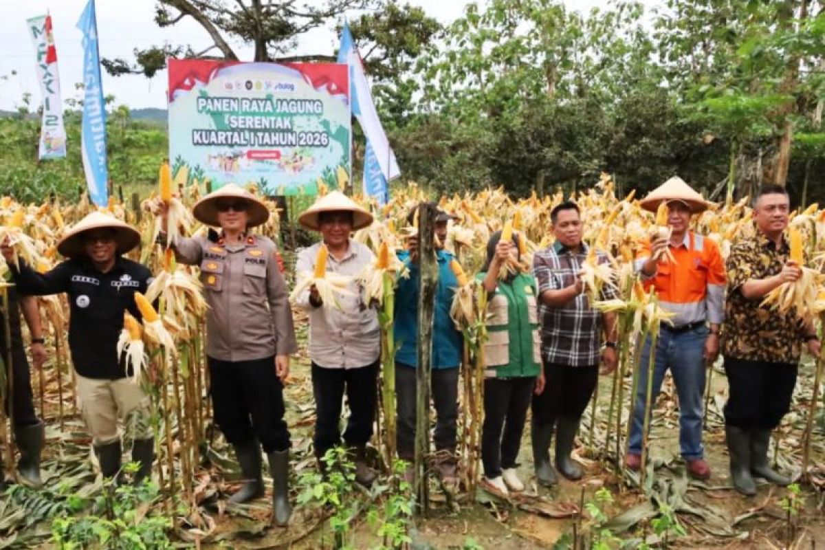 Kukar Ubah Lahan Eks Tambang Jadi Lumbung Pangan, Perkuat Ketahanan Daerah