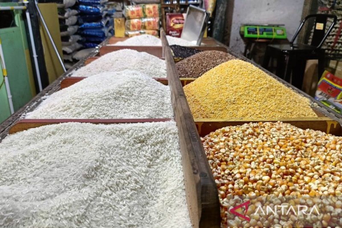 Kaltim Perkuat Rantai Pasok Pangan Lokal Demi Sukses Program Makanan Bergizi Gratis