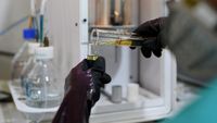 Uji Teknis Jadi Kunci Mandatori Biodiesel B50, Pemerintah Soroti Target Implementasi Juli 2024