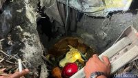 Detik-detik Dramatis: Sapi Kurban di Mojokerto Diselamatkan dari Septic Tank Setelah 3 Jam Berjibaku