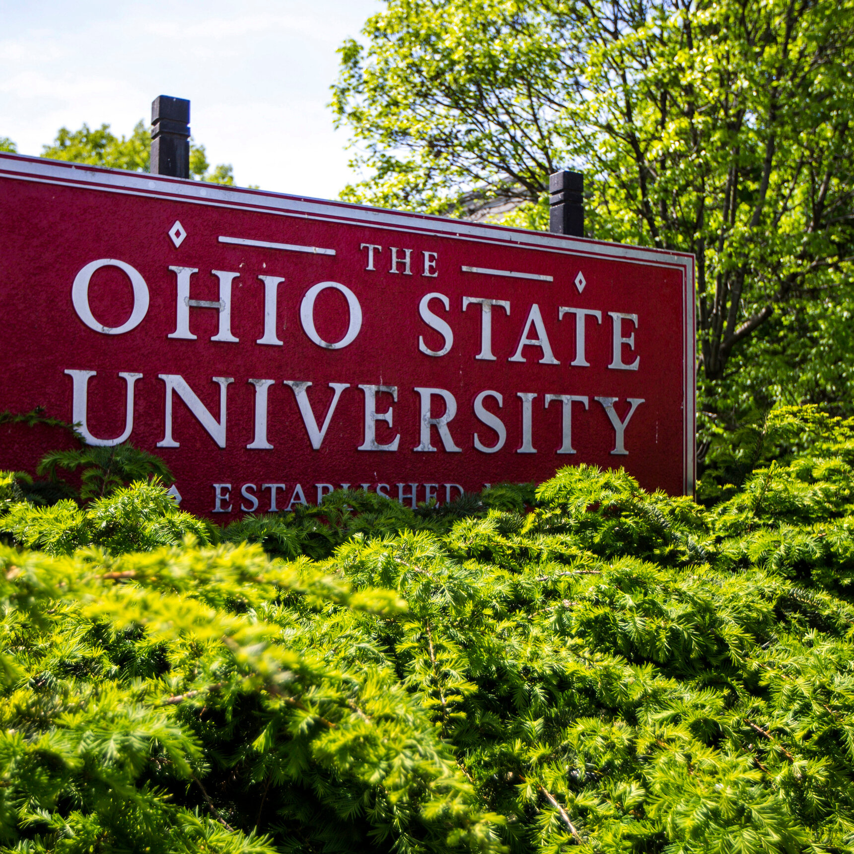 Ohio State University Bayar $100 Juta untuk 279 Korban Pelecehan Seksual | Akuntabilitas Kampus