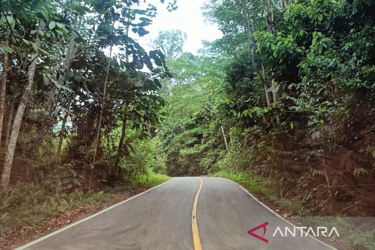 Dinas Kehutanan Kaltim Perkuat Kelestarian Ekosistem dengan Lima Program Prioritas Terukur