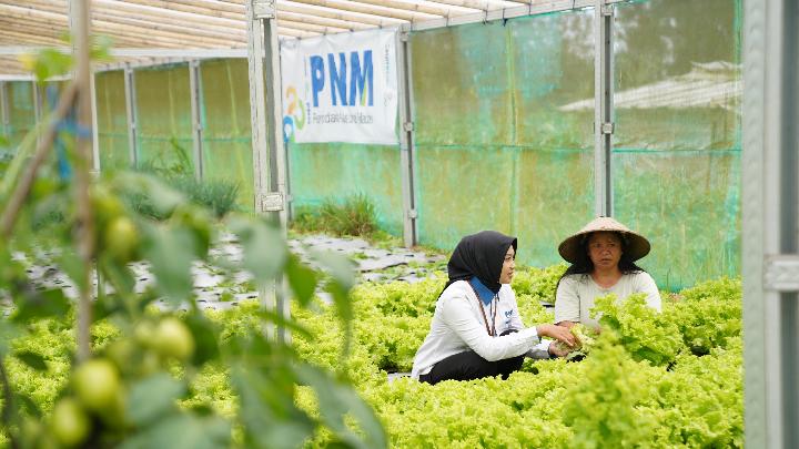 PNM Raih Empat Penghargaan Bergengsi di Indonesia Sustainability Award 2024