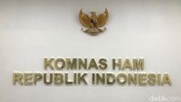 RUU HAM: Kemenkumham Klaim Perkuat Komnas HAM Melalui Skema Tenaga Ahli, Sejauh Mana Independensinya?