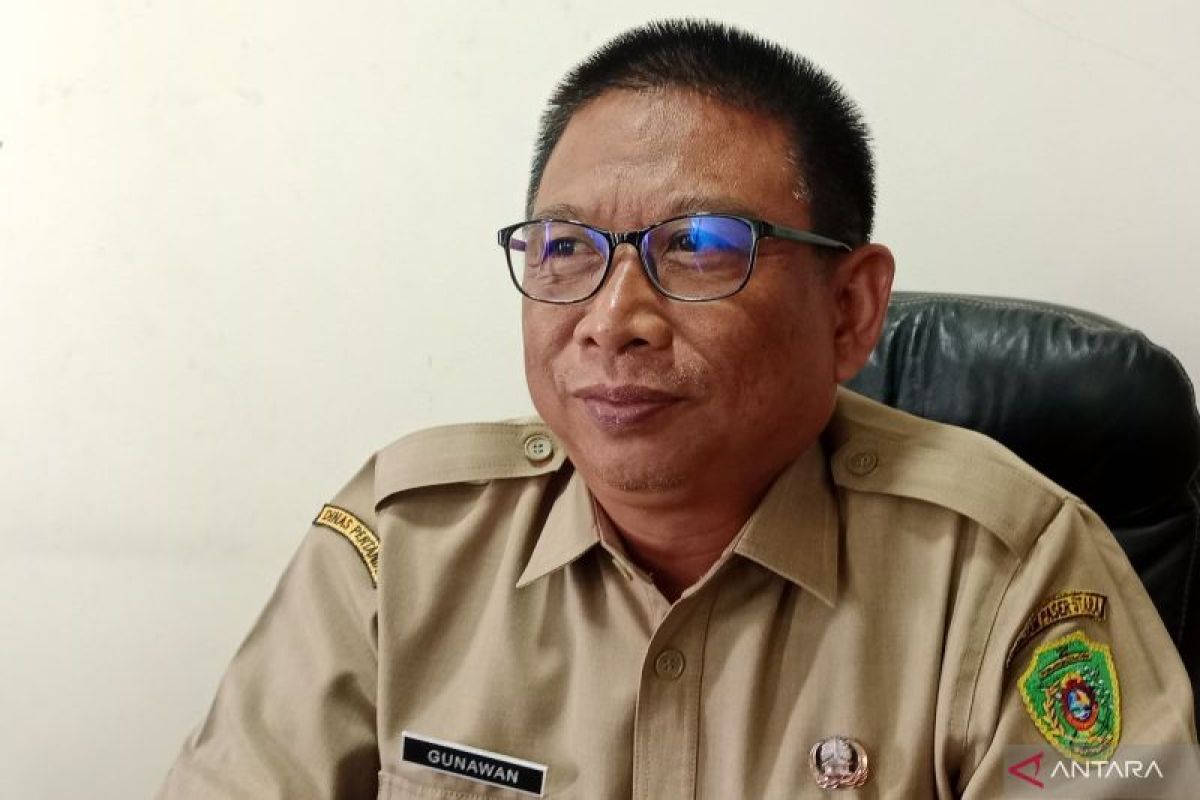 Pemkab Penajam Gerakkan Warga Tanam Cabai Rawit: Benteng Ketahanan Pangan Keluarga