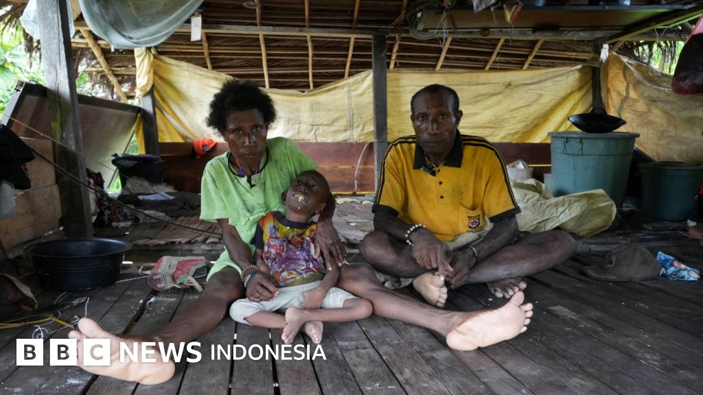 Program Makan Gratis Papua Terancam Krisis Stunting Alokasi Minim dan Kesenjangan Ekstrem