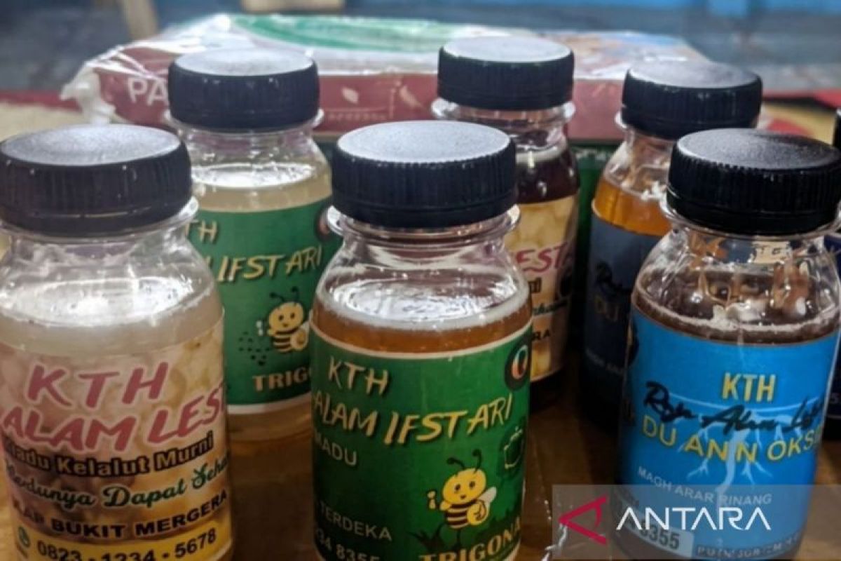 Madu Kelulut Kaltim Tembus Pasar Kosmetik Lokal, Dorong Hilirisasi Ekonomi Hutan