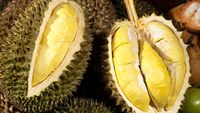 Wakil Menteri Pertanian Vietnam Ditangkap Terkait Skandal Korupsi Ekspor Durian ke China