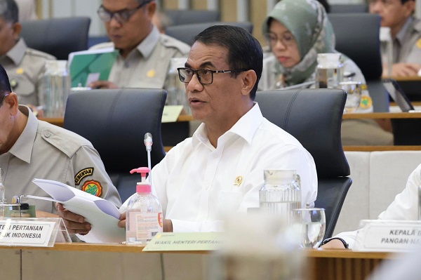 Rp1,3 Triliun untuk Ketahanan Pangan Nasional: Papua Selatan Target Lumbung Pangan Indonesia Timur