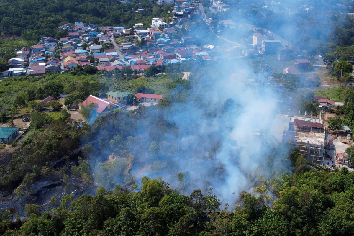 Dua Hektare Lahan di Balikpapan Hangus Terbakar, Polisi Selidiki Asal Api