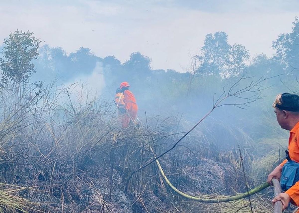 KLHK Sanksi Enam Korporasi Akibat Karhutla 1.500 Hektare di Kalimantan