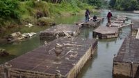 Rehabilitasi Keramba Ikan Pascabencana di Padang Dikebut, Target Operasi Penuh 2026