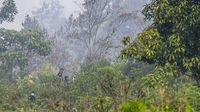 Investigasi Kebakaran Hutan Kalbar: Empat Korporasi Diduga Terlibat