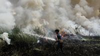 Darurat Asap Lintas Batas: Malaysia Tutup Hampir 600 Sekolah Akibat Karhutla Kalimantan